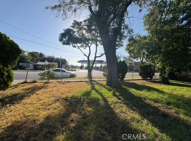9167 Citrus Ave, Fontana, CA 92335 - view of yard