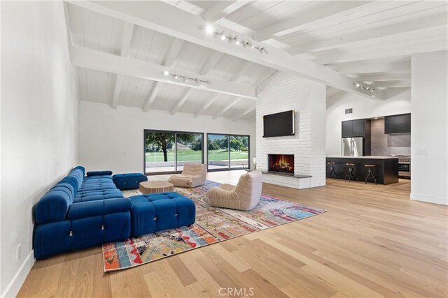 32641 Womsi Rd, Pauma Valley, CA 92061 - living area featuring rail lighting, light wood-style floors, and a brick fireplace