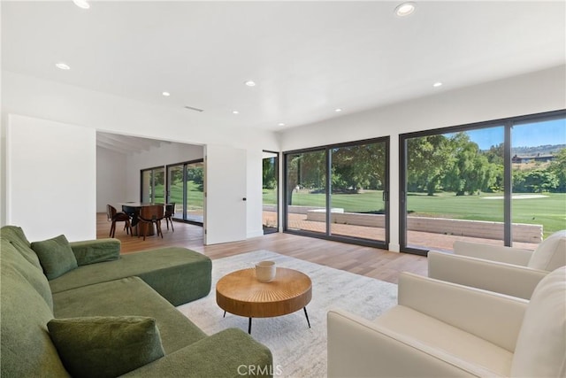 32641 Womsi Rd, Pauma Valley, CA 92061 - living room with light wood-style floors and recessed lighting