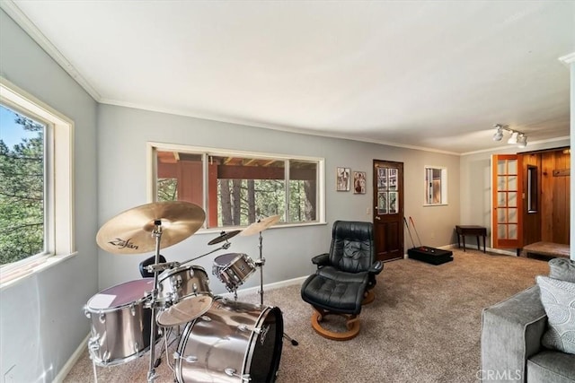 33211 Juniper Ln, Green Valley Lake, CA 92341 - living area featuring carpet flooring and ornamental molding