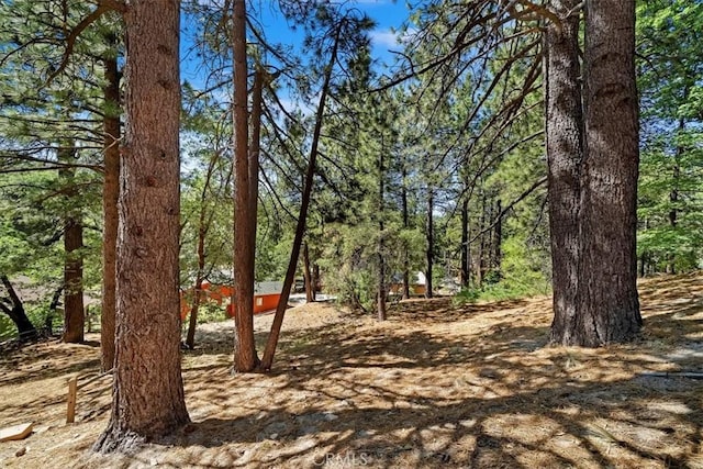 33211 Juniper Ln, Green Valley Lake, CA 92341 - view of yard