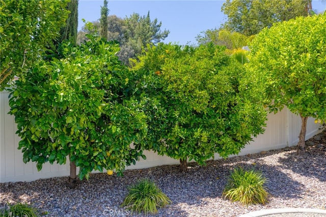 23832 Matador Way, Murrieta, CA 92562 - view of yard