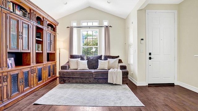 18 Via Canero, San Clemente, CA 92673 - living area with dark wood-type flooring and vaulted ceiling