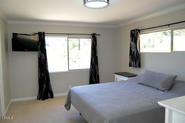 691 Via Ondulando, Ventura, CA 93003 - bedroom featuring multiple windows, crown molding, and light carpet