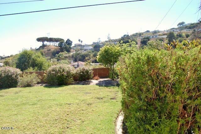 691 Via Ondulando, Ventura, CA 93003 - view of yard