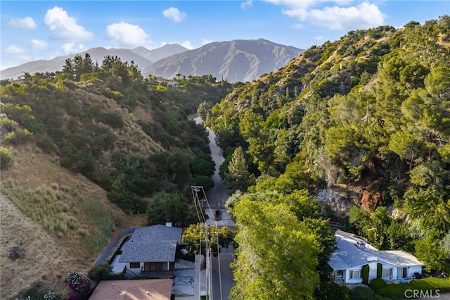 325 N Madison Ave, Monrovia, CA 91016 - view of mountain background with a forest
