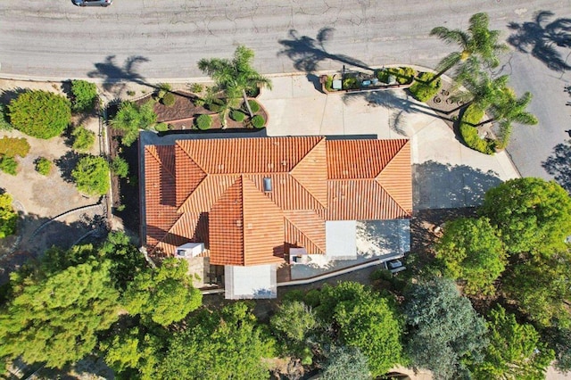 9704 Indian Creek Way, Escondido, CA 92026 - photo 39