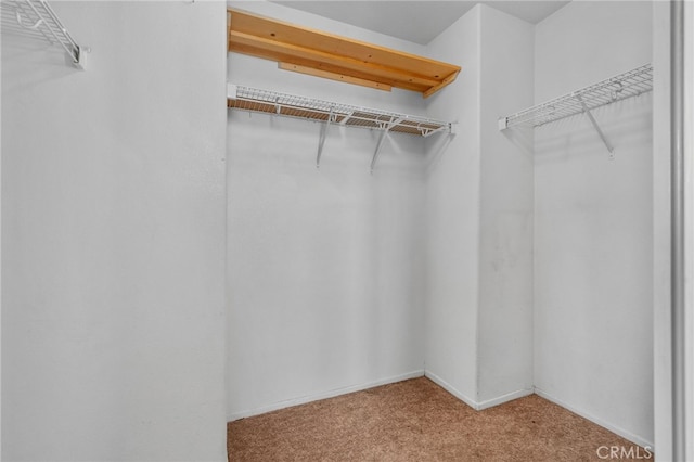 11890 Greenbluff Way, Yucaipa, CA 92399 - walk in closet featuring carpet flooring