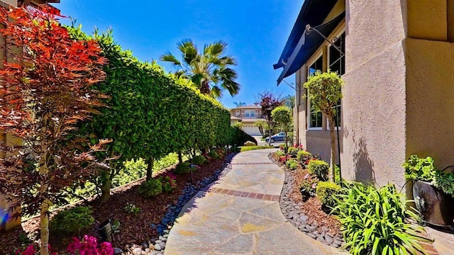 6130 Paseo Monona, Carlsbad, CA 92009 - view of yard