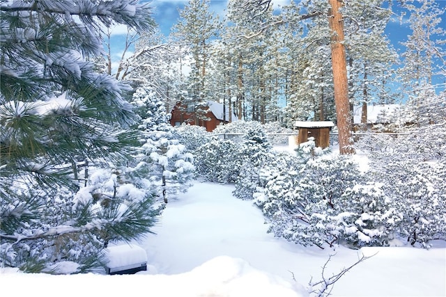 800 Eureka Dr, Big Bear Lake, CA 92315 - photo 37
