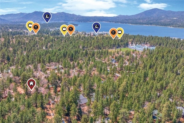 800 Eureka Dr, Big Bear Lake, CA 92315 - photo 8