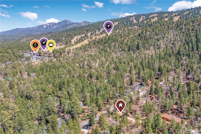 800 Eureka Dr, Big Bear Lake, CA 92315 - photo 9