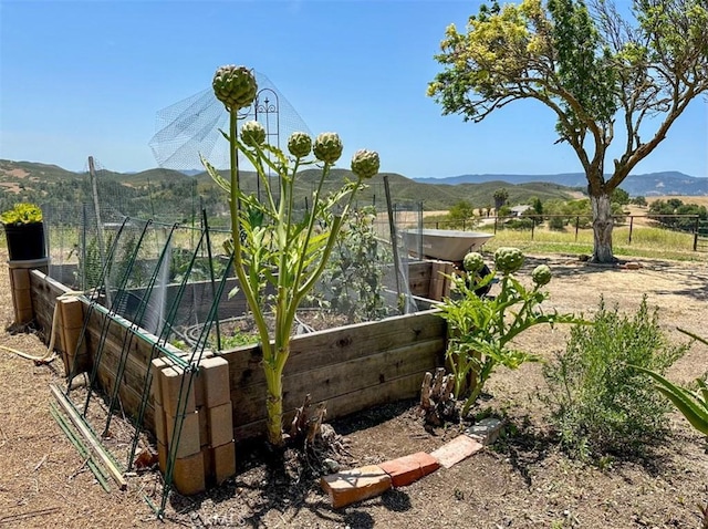 7491 Kingsbury Rd, Templeton, CA 93465 - view of yard featuring a mountain view