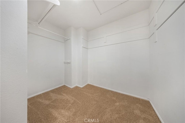 40132 White Leaf Ln, Murrieta, CA 92562 - spacious closet featuring carpet