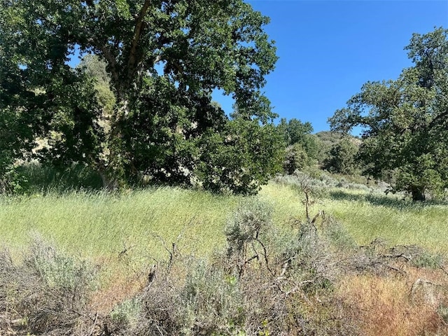 0 Butterfield Way, Bear Valley Springs, CA 93561