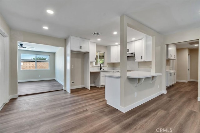 1521 S Althea Ave, Bloomington, CA 92316 - photo 31