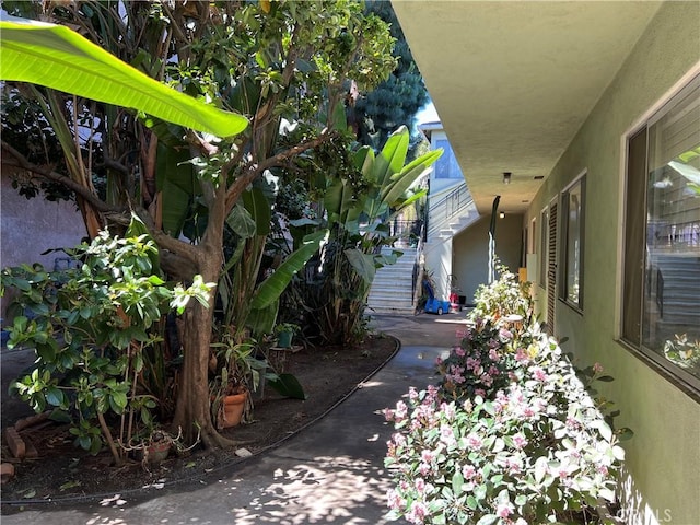 824 Redondo Ave, Long Beach, CA 90804 - view of yard featuring stairs