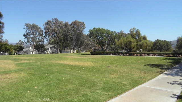 6821 Rocky Grove Ct Unit 13, Yorba Linda, CA 92886 - view of home's community featuring a yard