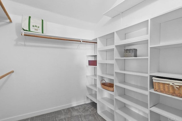 9933 Golden W Ln, Santee, CA 92071 - walk in closet featuring dark carpet