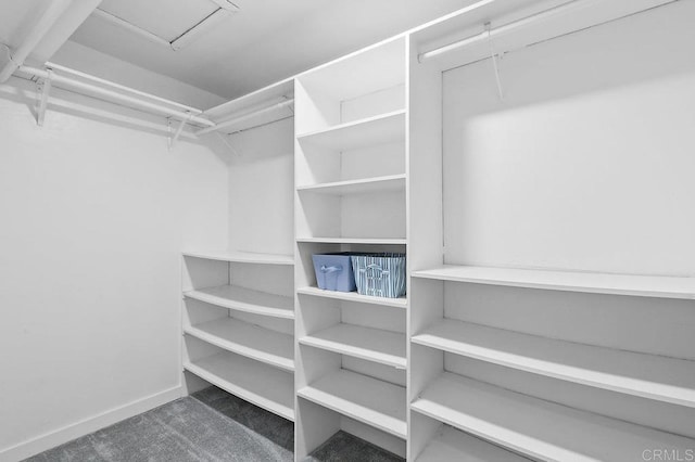 9933 Golden W Ln, Santee, CA 92071 - spacious closet with attic access and carpet