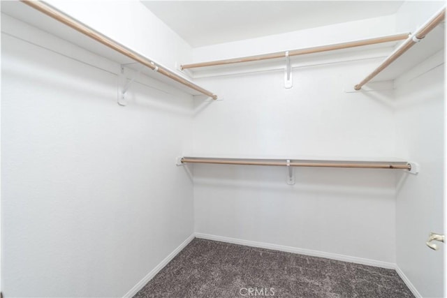 43733 6th St E, Lancaster, CA 93535 - spacious closet with carpet