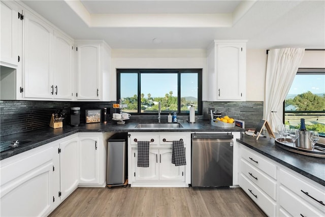 33851 Madera De Playa, Temecula, CA 92592 - kitchen featuring dishwasher, a raised ceiling, and plenty of natural light