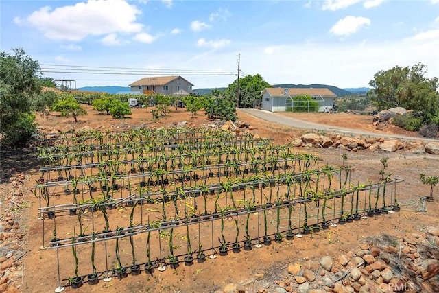 1996 Rainbow Glen Rd, Fallbrook, CA 92028 - view of yard