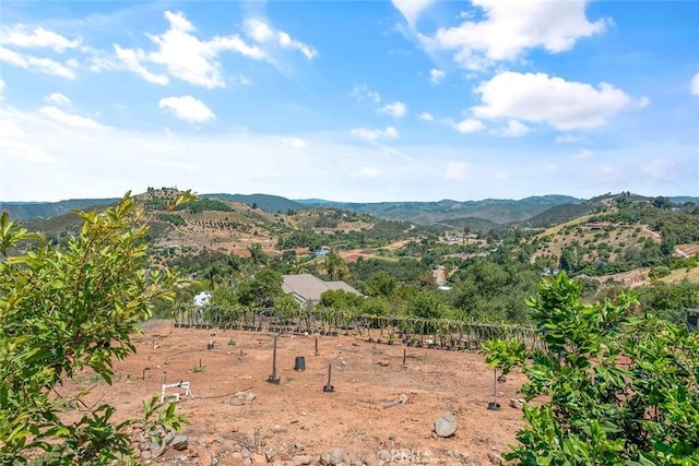 1996 Rainbow Glen Rd, Fallbrook, CA 92028 - mountain view