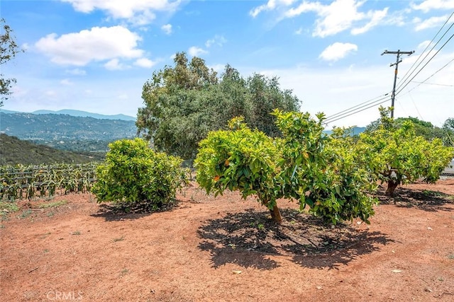 1996 Rainbow Glen Rd, Fallbrook, CA 92028 - view of mountain background