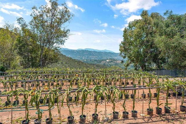 1996 Rainbow Glen Rd, Fallbrook, CA 92028 - view of mountain backdrop