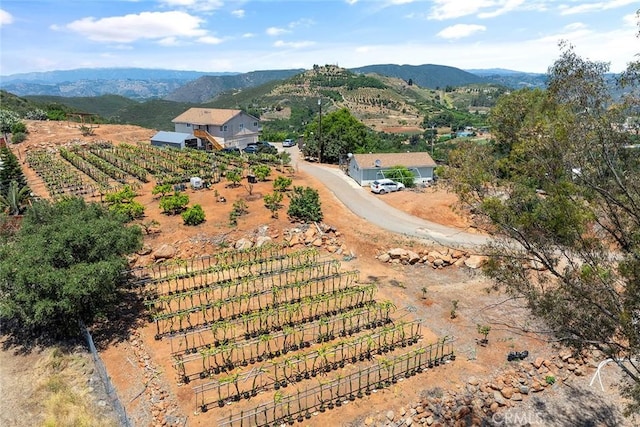 1996 Rainbow Glen Rd, Fallbrook, CA 92028 - view of rural area with rows of crops and a mountain backdrop