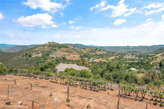 1996 Rainbow Glen Rd, Fallbrook, CA 92028 - view of mountain background with rural landscape