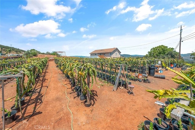 1996 Rainbow Glen Rd, Fallbrook, CA 92028 - view of yard with agricultural plots and a view of rural / pastoral area