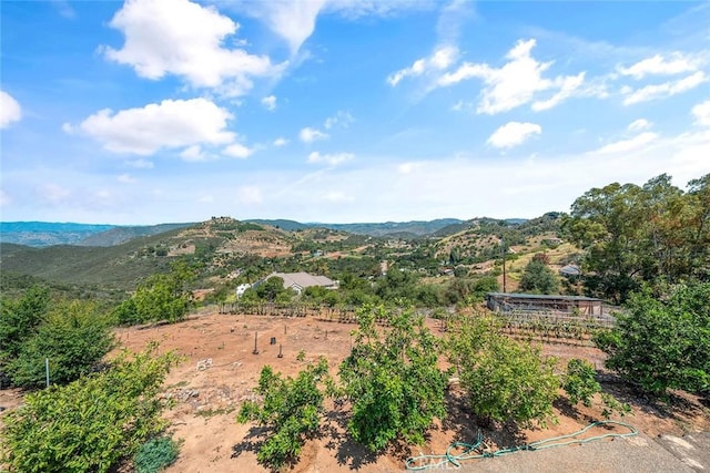 1996 Rainbow Glen Rd, Fallbrook, CA 92028 - mountain view