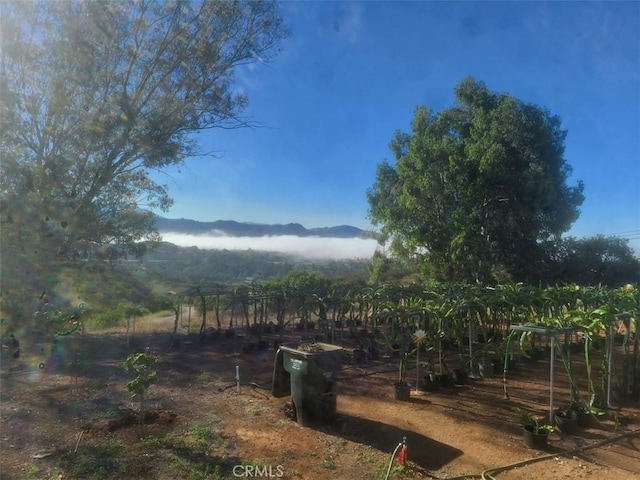 1996 Rainbow Glen Rd, Fallbrook, CA 92028 - view of yard featuring a mountain view