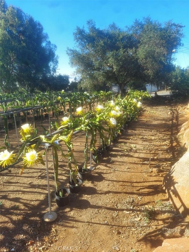 1996 Rainbow Glen Rd, Fallbrook, CA 92028 - view of property's community