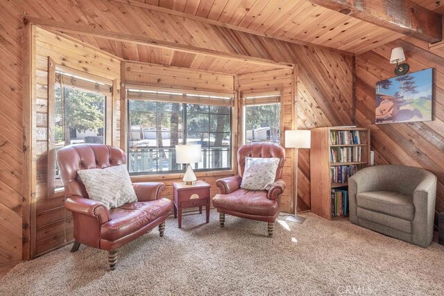 1561 Malabar Way, Big Bear City, CA 92314 - photo 13