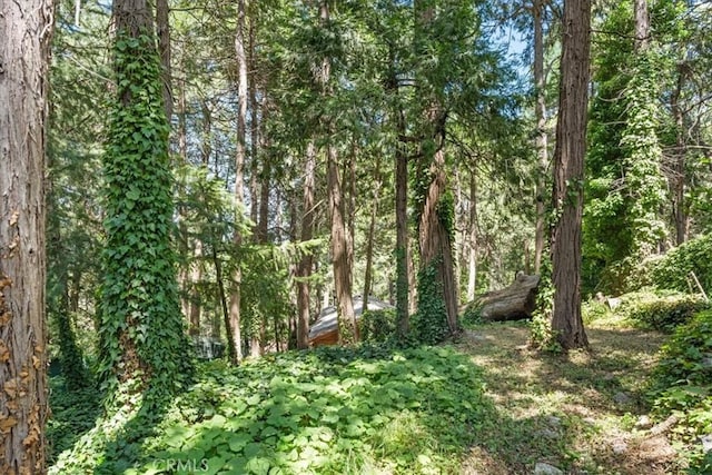 23717 Scenic Dr, Crestline, CA 92325 - view of tree filled area