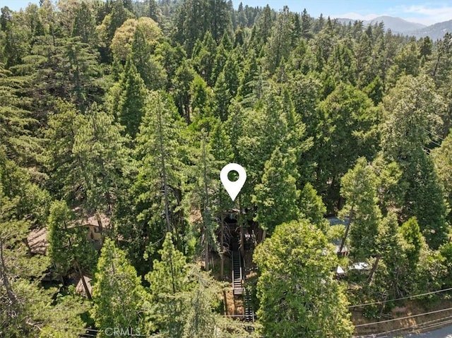 23717 Scenic Dr, Crestline, CA 92325 - aerial overview of property's location with a forest and a mountainous background