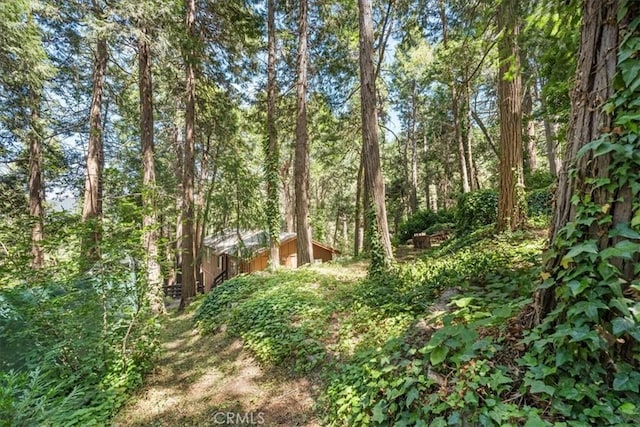 23717 Scenic Dr, Crestline, CA 92325 - view of wooded area