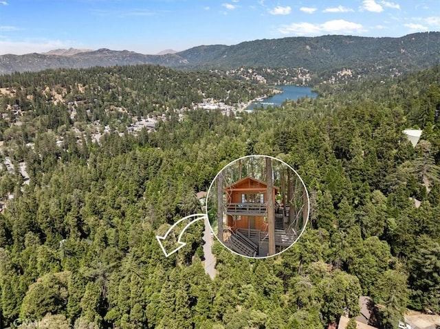 23717 Scenic Dr, Crestline, CA 92325 - view of mountain background featuring a forest and a nearby body of water