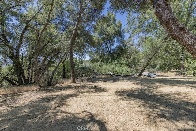 45315 Forest Ridge Dr, Ahwahnee, CA 93601 - photo 41