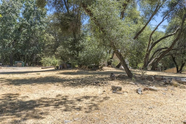 45315 Forest Ridge Dr, Ahwahnee, CA 93601 - photo 45