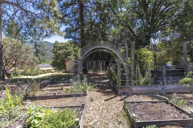 45315 Forest Ridge Dr, Ahwahnee, CA 93601 - photo 65