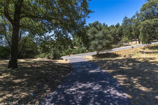 45315 Forest Ridge Dr, Ahwahnee, CA 93601 - photo 28