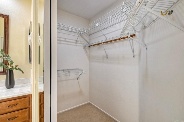 4956 Lamia Way, Oceanside, CA 92056 - spacious closet featuring light carpet
