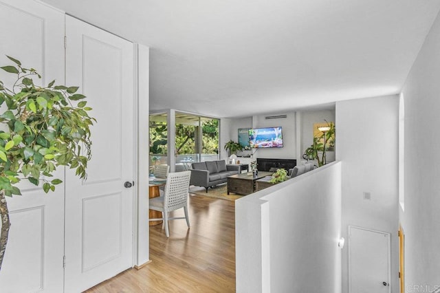 4833 Collwood Blvd Unit A, San Diego, CA 92115 - foyer with light wood finished floors and a glass covered fireplace