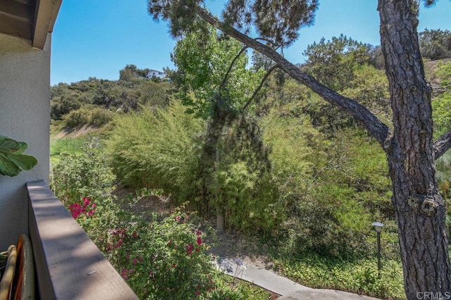 4833 Collwood Blvd Unit A, San Diego, CA 92115 - view of yard
