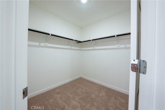 363 Arpent Ct, Merced, CA 95341 - walk in closet with carpet floors