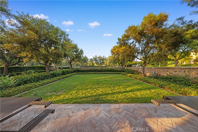 186 Bishop Lndg, Irvine, CA 92620 - view of green lawn